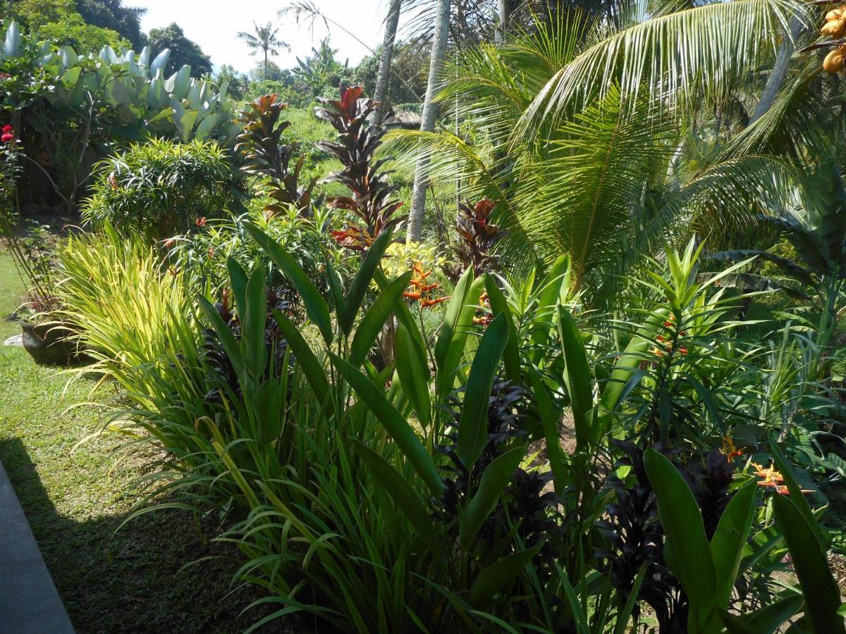 Cegeng Lestari Guesthouse ซิเดอมัน ภายนอก รูปภาพ