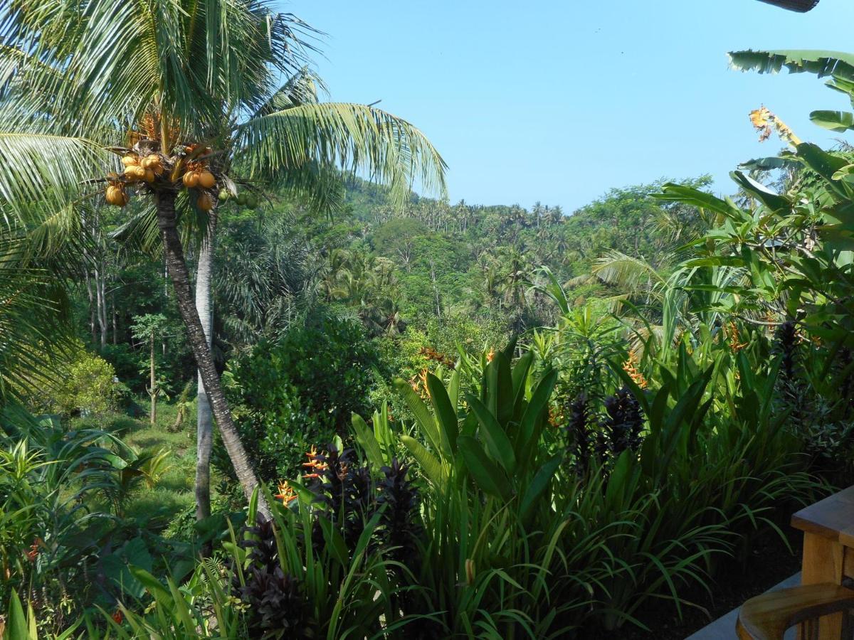 Cegeng Lestari Guesthouse ซิเดอมัน ภายนอก รูปภาพ
